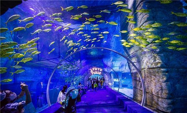 谷歌浏览器下载手机版2020版游戏画面