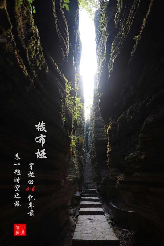 蓝狐视频