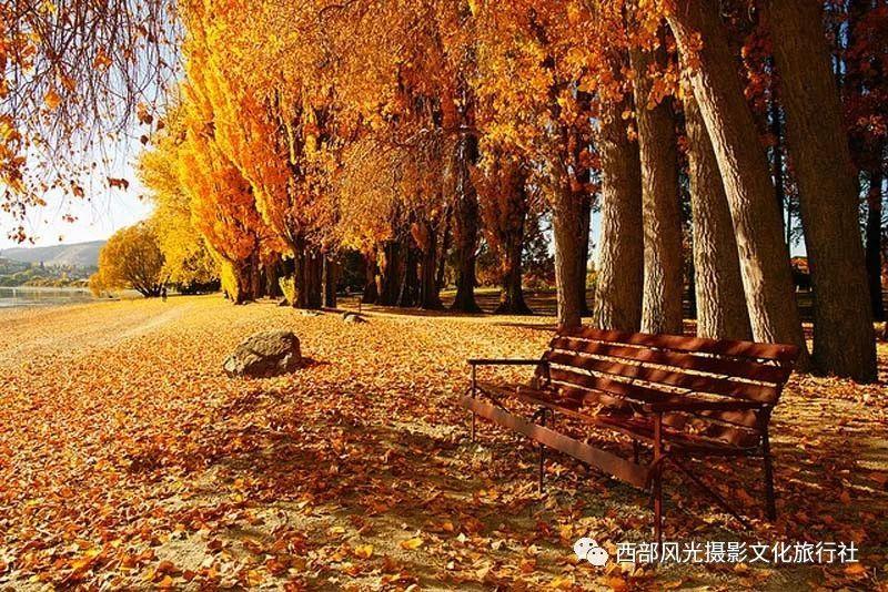 特技摩托聚变