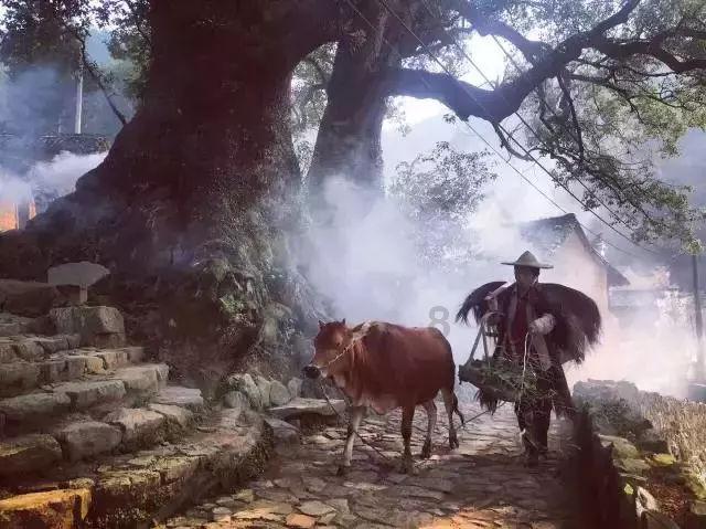 无尽神域