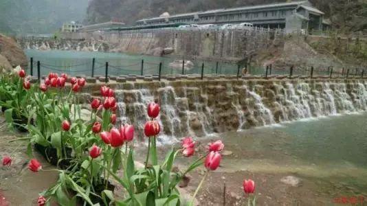 探索老公和前妻一家出国旅游,我该怎么办?世界,尽在老公和前妻一家出国旅游,我该怎么办?红迪网!