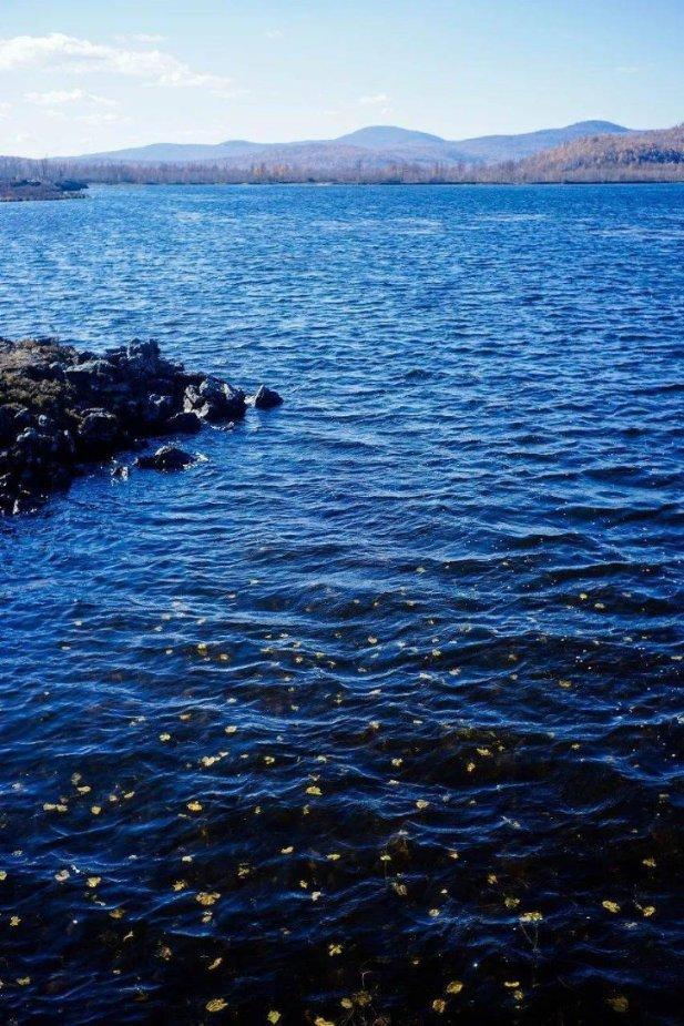 海岛冲浪