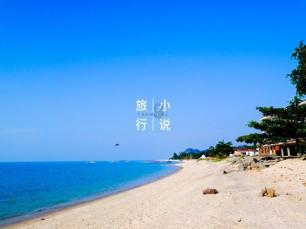 僵尸跳跳跳