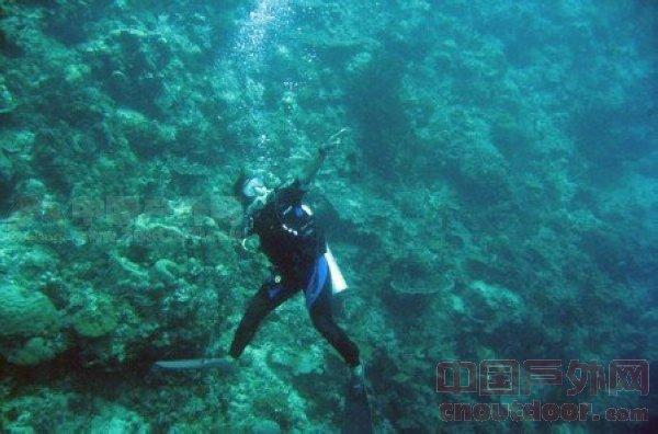 午盘：美股午盘走高 道指与标普500指数创盘中新高