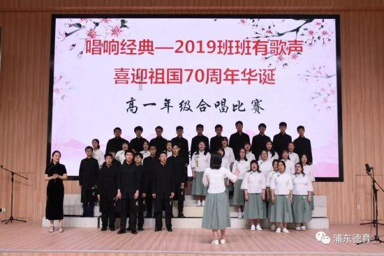 救援受困的小野猫