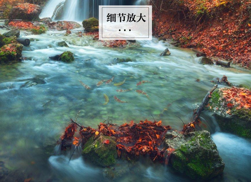 口袋森林世界杯防守战