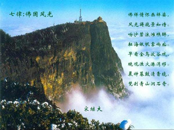 奥日与精灵意志