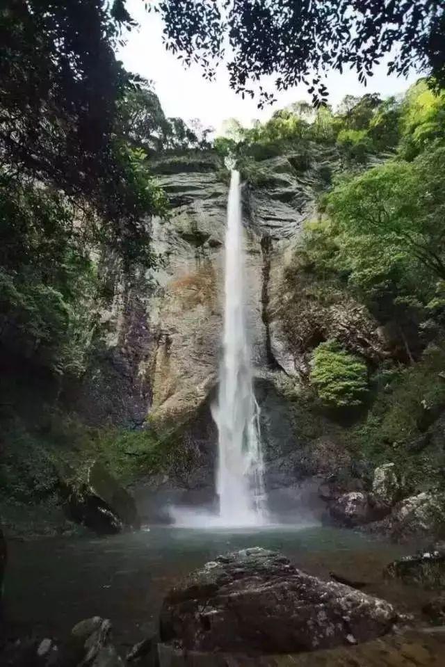 爱吃的鱼