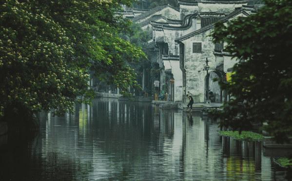 救援鹦鹉