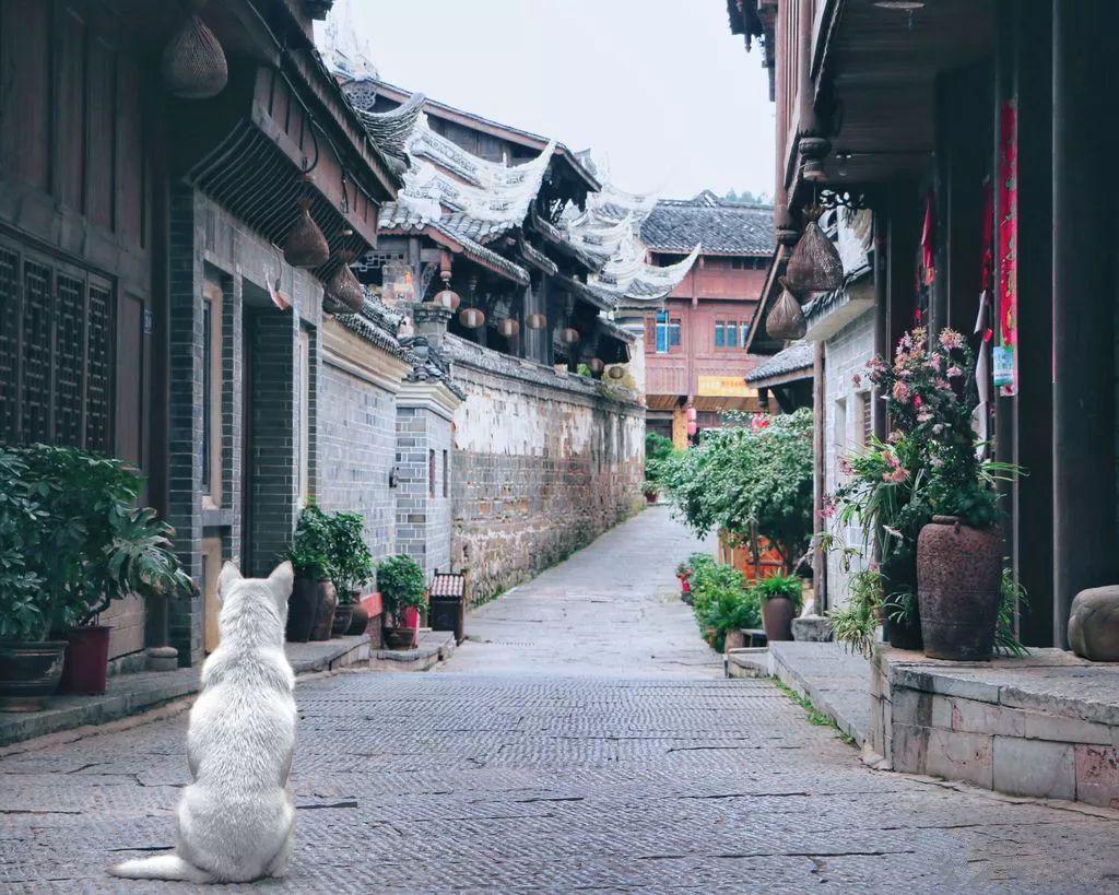 僵尸吃怪物