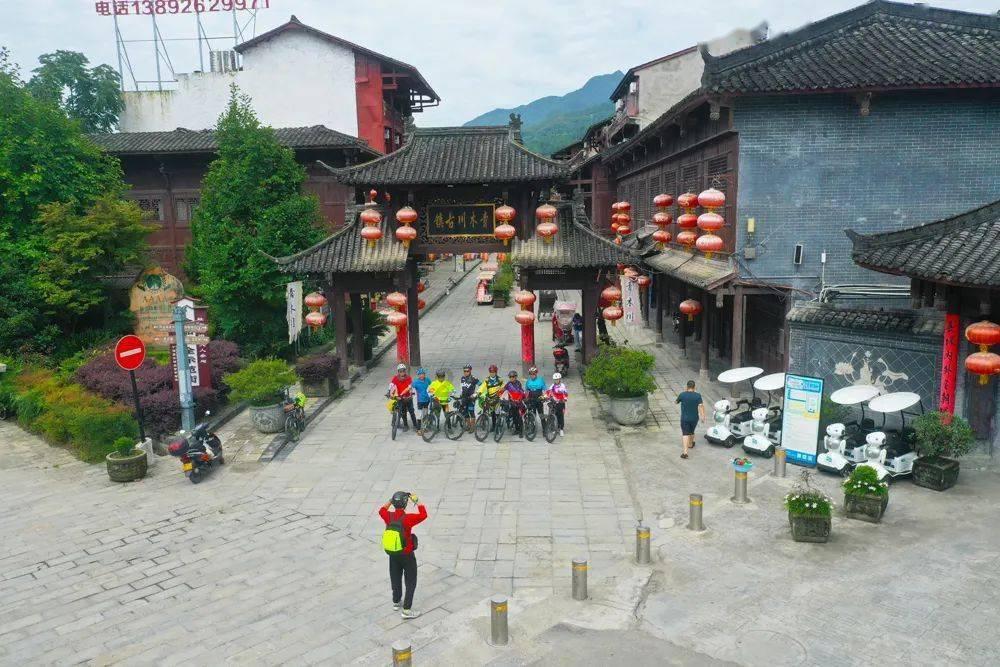 动物帮帮忙保卫家园
