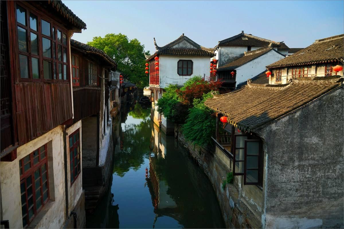 森林的奇迹