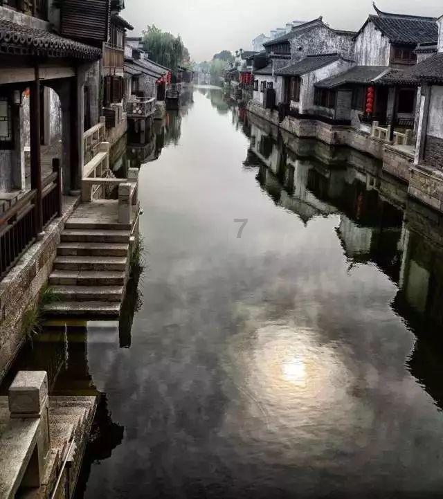 大熊猫“七仔”雪地滚了一身炸裂糖霜   网友：秒变咖啡冰激凌